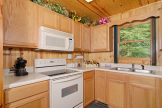 Fully equiped kitchen that features a microwave, coffee maker, oven with a stove top. The sink has a window facing the woods.